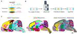 Bring Spatial Transcriptomics to Your Lab