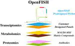 OpenFISH来了